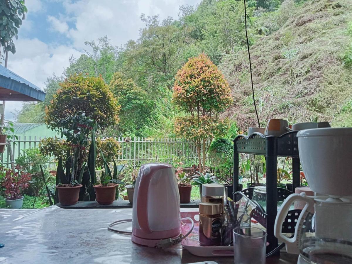Banaue Pink Eco Hostel Εξωτερικό φωτογραφία